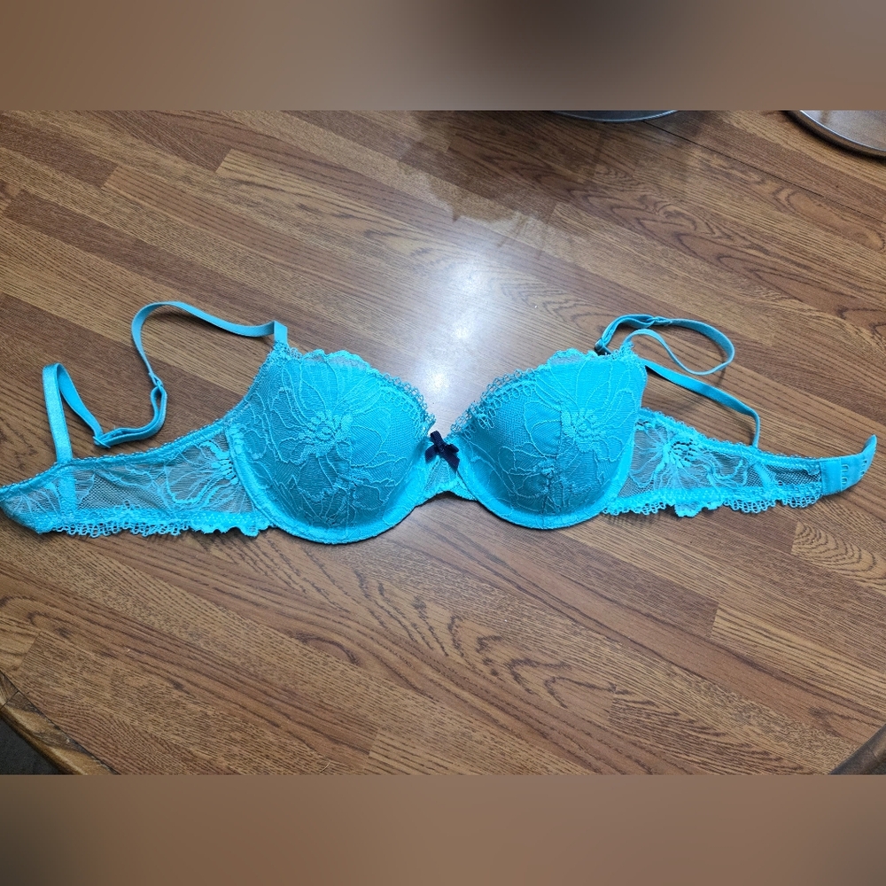 Heidi Klum lace push up bra